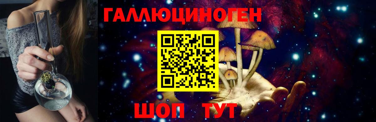 Жуковский  Псилоцибиновые грибы GOLDEN TEACHER  Вход с VPN 